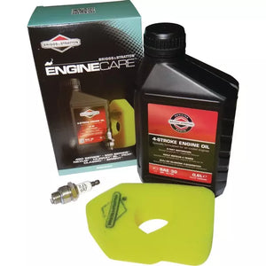KIT ENTRETIEN MOTEUR BRIGGS TYPE SPRINT 450