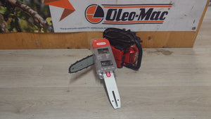 COMBO ECO GUIDE 30CM + 2 CHAINES POUR ELAGUEUSE TOUTES MARQUES SAUF STIHL